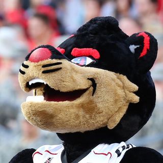 Bearcat Insider