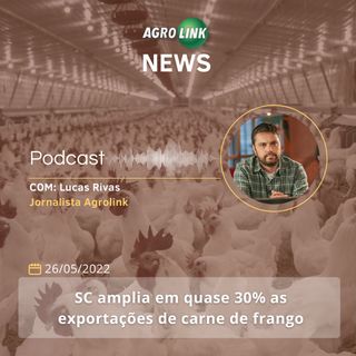 Exportações de carne bovina crescem quase 10% em maio de 2022