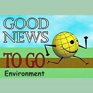 Good News To Go: Environment