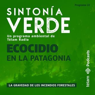 Incendios en la Patagonia