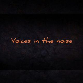Voices in the noises