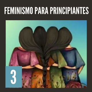 3. Feminismo para principiantes - La segunda ola - Nuria Varela (Audiolibro feminista).