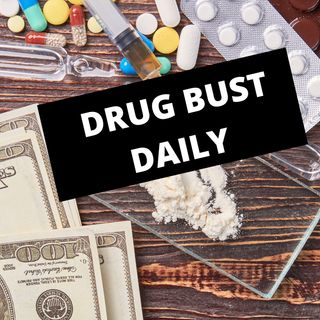 Daily Drug Busts