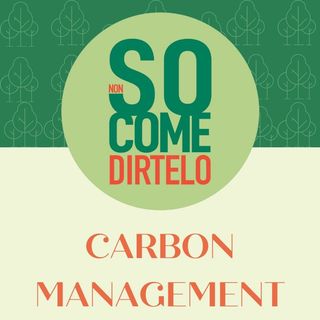 13. Carbon Management