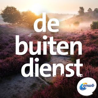 De bossen van de Veluwe