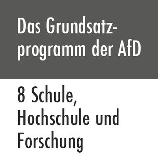 Das Grundsatzprogramm der AfD – 8 Schule, Hochschule und Forschung