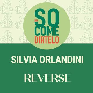 11. Silvia Orlandini - Reverse
