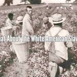 What About The White American Slave?