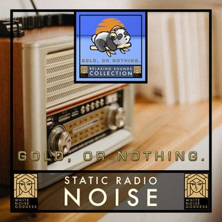 Relaxing Radio Static White Noise