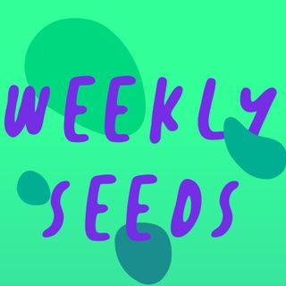 Ecosystem Restoration con Anna Bucci - Weekly Seeds Talk Show & Podcast