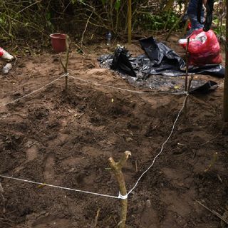 2020 registró una disminución del 33 % en el número de fosas clandestinas localizadas en México