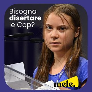 Bisogna disertare le Cop?