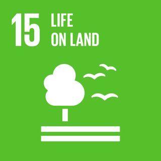SDG 15 - Vita sulla Terra