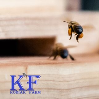 Kodiak Farm Bees Podcast