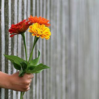 Il significato della parola GRAZIE
