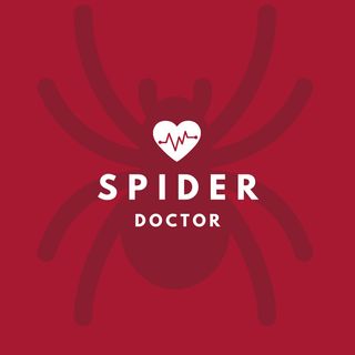 Dr. Spider