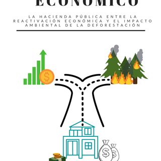 La Hacienda Pública entre la reactivación económica y el impacto ambiental de la deforestación
