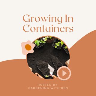 Growing in containers and making the most of your allotment and garden