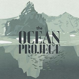 E01 |  A Fish With A PR Problem