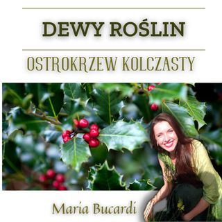Dewy Roślin - Ostrokrzew kolczasty - otwieranie serca, ochrona progów i portali, strażnik progu | Maria Bucardi