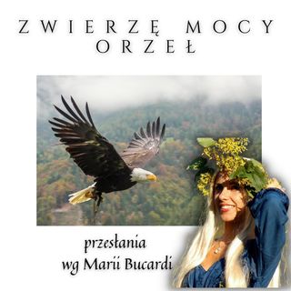 Zwierzę Mocy - Orzeł - Słuchowisko Marii Bucardi