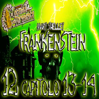 Audiolibro Frankenstein - 12 Capitolo 13-14 - Mary Shelley