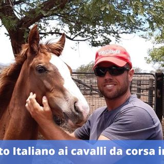 Ep.216 - Dall'Esercito Italiano ai cavalli da corsa in Australia, con Matteo Rottigni