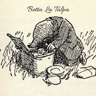 Betta La Talpa