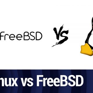 FLOSS Clip: Linux vs FreeBSD: What's the Difference?
