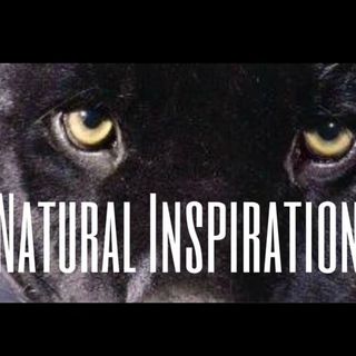 Natural Inspiration