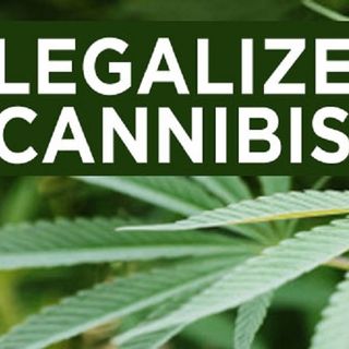 legalize marijuana  good or bad?