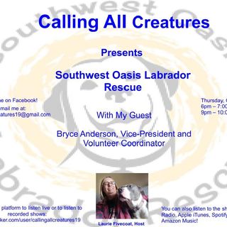 Calling All Creatures Presents Southwest Oasis Labrador Rescue
