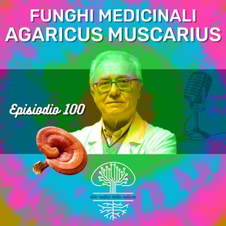 Funghi Medicinali: AGARICUS MUSCARIUS