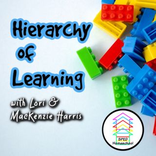 Increase Learning by Understanding the Hierarchy of Learning