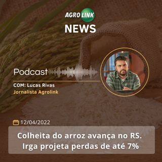 Santa Catarina projeta produzir mais de 495 mil toneladas de cebola