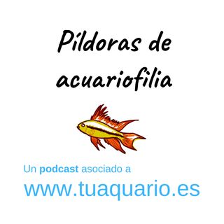 Píldoras de acuariofilia