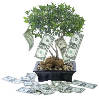 Previsioni, budget e pianificazione
