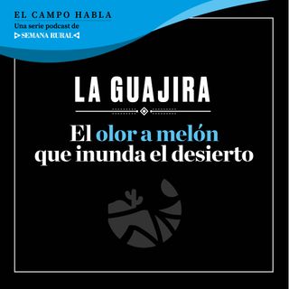 El olor a melón que inunda el desierto