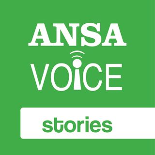 ANSA Voice stories