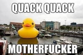 Retarded Duck