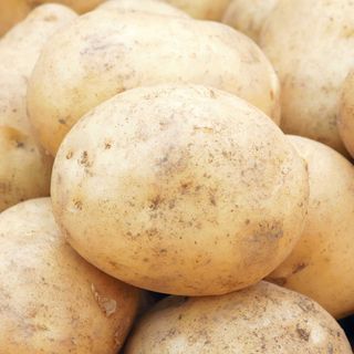 La patata quiere conquistar Europa