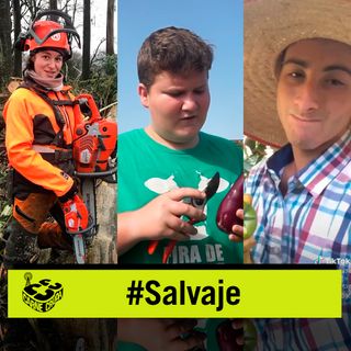 Carne Cruda - Influencers de pueblo, orgullo rural (SALVAJE #812)
