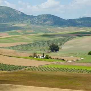 Marruecos, EEUU y el medio ambiente: los retos del campo español