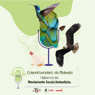 Hablemos del Movimiento Social Animalista