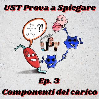 UST prova a spiegare Ep. 3 - Le componenti del carico