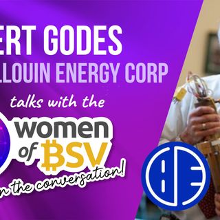 14. Robert Godes - Brillouin Energy Corp -Interview #14 with the Women of BSV