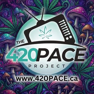 The 420 PACE Project