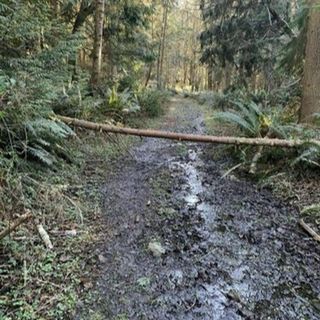60 Seconds for Wednesdays on Whidbey: Beware Trail Conditions and Control What's in Front of You.