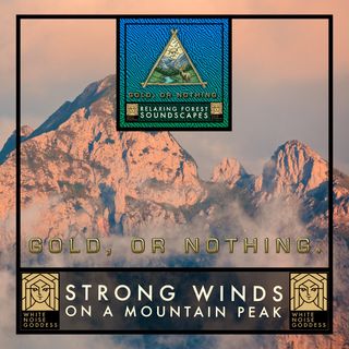 Wind On A Mountain Peak | 1 Hour Forest Ambience | White Noise | Relax | Meditate | Sleep Instantly