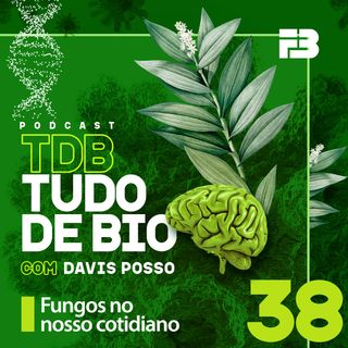 TDB Tudo de Bio 038 - Fungos no nosso cotidiano